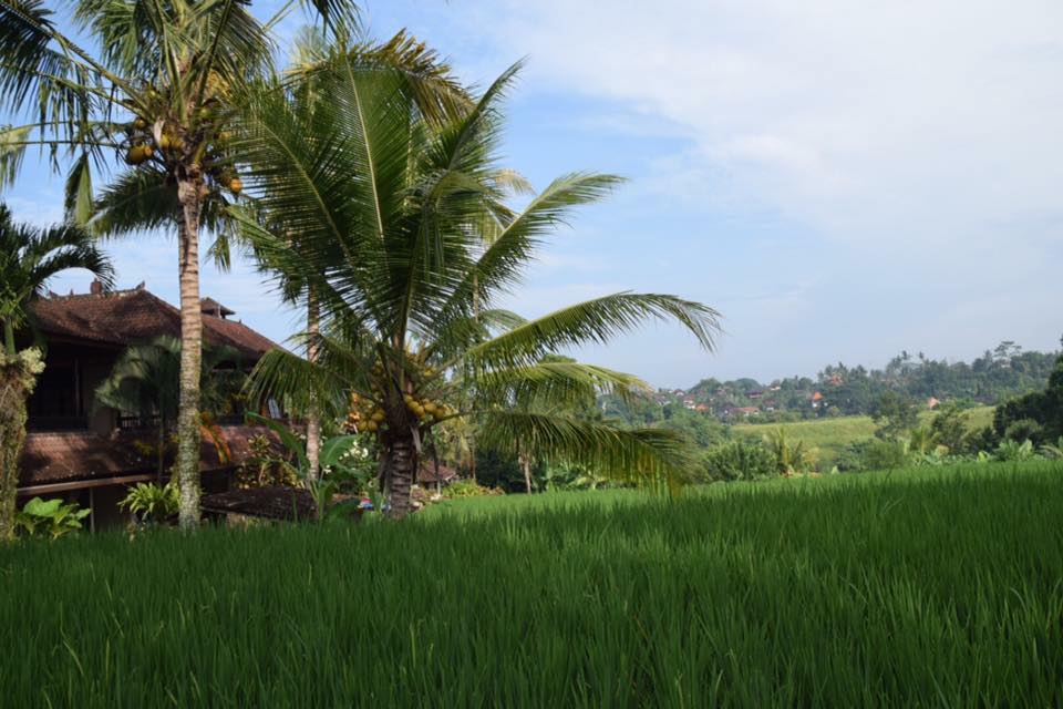 Hot Yoga Retreat Bali May 2016 Gallery FreeSpiritYogaRetreats